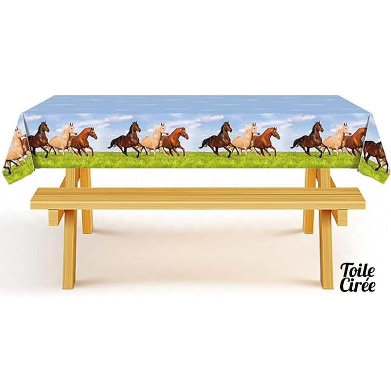 Nappe cheval