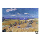 Napperon PVC des champs