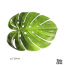 Napperons PVC feuilles