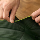 Napperons PVC feuilles