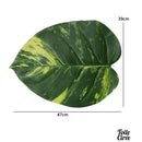 Set de table feuille