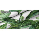 Toile cirée imprimée été